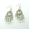 Wholesale CTE0004earring fashion jewelry