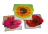 Wholesale pretty fashion paper jewelry box