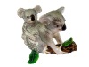 Australia Koala design trinket box