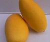 Wholesale realistic artificial fruit for decoration