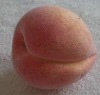 Wholesale artificial fruit