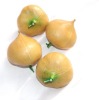 Wholesale artificial fruit