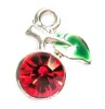 Wholesale fruit cherry Charm XH2951