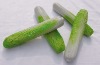 Wholesale artificial vegetable