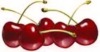 Christmas artificial fruit