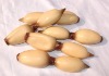 Wholesale artificial vegetable