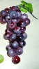 Wholesale Artificial Grapes,home decoration