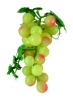 Wholesale Decorative Fruit - A04055