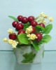 Wholesale artificial fruits,artifical decorative fruits,artificial potted fruits