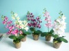 Wholesale silk flower phalaenopsis in the pot
