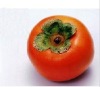 Wholesale Artificial Fruit, Persimmon