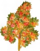 Wholesale artificial decorative leaf with fruit