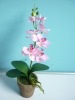 Wholesale silk flower phalaenopsis in the pot