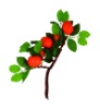 Wholesale Decorative Fruit - A04025