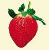Wholesale Artificial Fruit, Strawberry