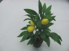 Wholesale Hot sell fruit bonsai tree plant plastic for party decoration