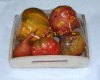 Wholesale all styles and sizes emulational vegetable