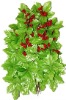 Wholesale artificial decorative leaf with fruit