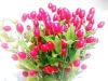Wholesale Artificial flower/artificial plant--2011 latest lively plastic plant decoration