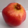 Wholesale Artificial Pomegranate Fruit
