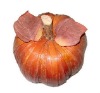 Wholesale all size all color provided decoration pumpkin