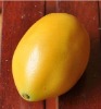 Wholesale decorative artificial lemon fruit
