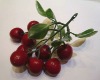 Wholesale Artificial FRUIT FUN FRIDGE KITCHEN MEMO MAGNETS