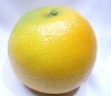 Wholesale Artificial Fruit, Orange