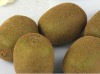 Wholesale artificial kiwi fruit for decoration
