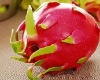 Wholesale Artificial Fruit, Dragon fruit
