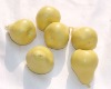 Wholesale artifical fruit