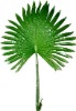 Wholesale artificial decorative leaf with fruit