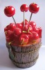 Wholesale Resin Fruit Fork