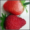 Wholesale LOOK !!! 2011 BEST-SELLING minim artificial fruit