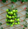 Wholesale artificial fruit strand for decoration