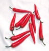 Wholesale artificial vegetable