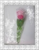 Wholesale 100% cotton cute Single towel cake rose with box