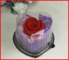 Wholesale Valentines gift of towel roses,cotton towel roses for wedding
