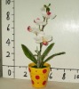New design artificial plant