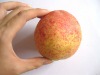 Wholesale Manufacturer of PVC Artificial fruit