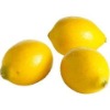 Wholesale Artificial Foam lemon Fruits Vegetable