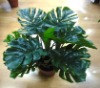artificial plant