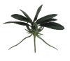 Wholesale 6"Decorative artificial flower Mini orchid lvs plant X 7