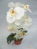 Wholesale 35cm white orchid artificial flower bonsai for party decoration