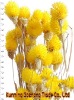 Wholesale Bright-coloured artificial flower