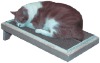 Wholesale corrugated pet supply