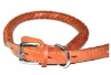 Wholesale pet collars making supplies(YC-6518-2)