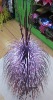 Wholesale PET Christmas tinsel tree