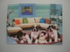 Wholesale PET Animal 3D Decorative Painting