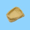 Wholesale pet feeder